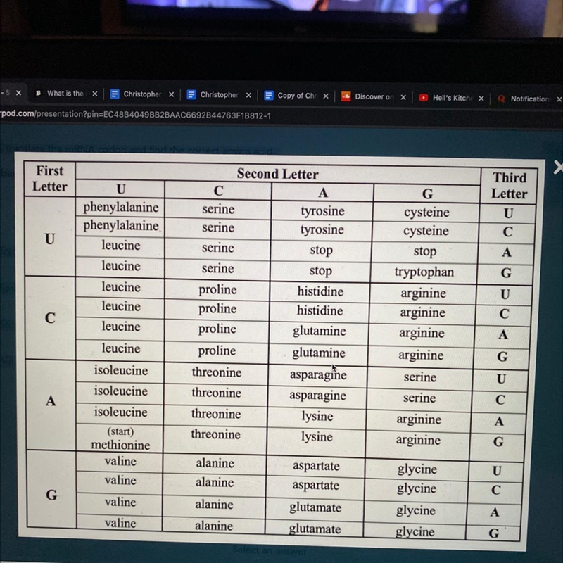 If the DNA strand is AGT, translate the mRNA codon and find the correct amino acid-example-1