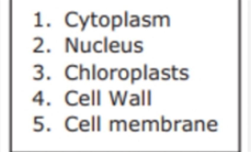 Which components would be in a leaf cell but not a human Cheek Cell​-example-1