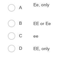 The genotype of individual 2 could be-example-1