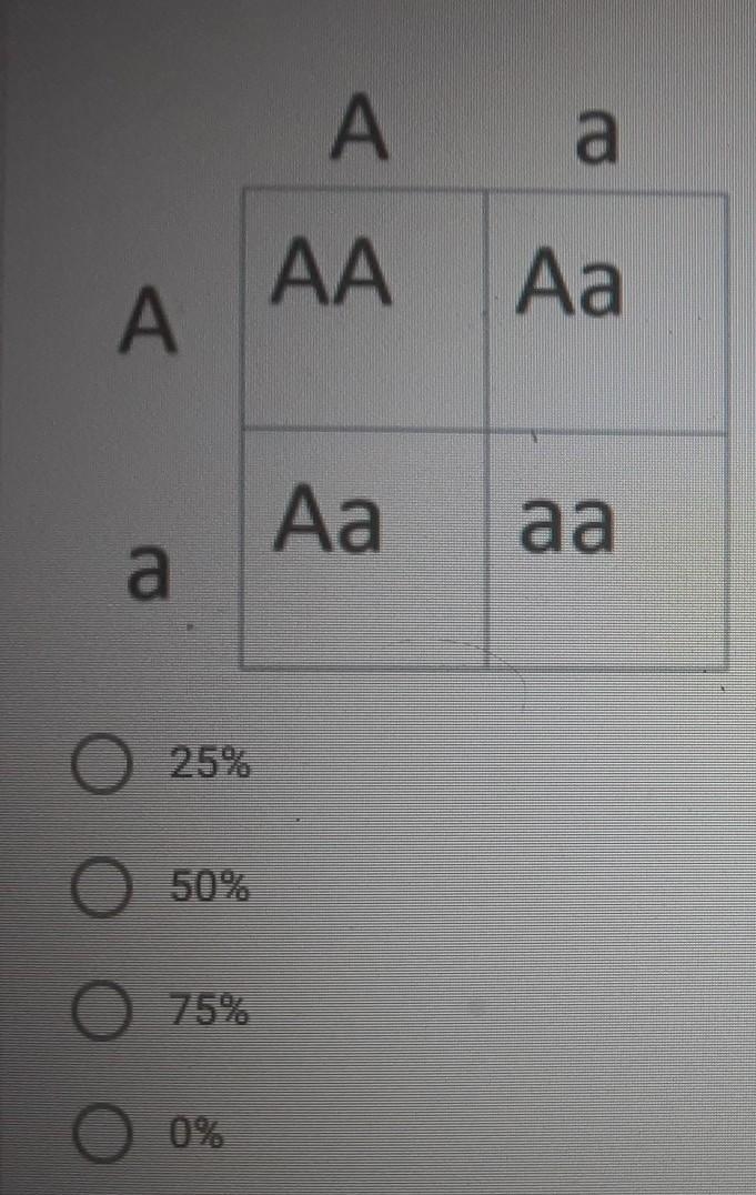 Study the punnett square below. what percentage of the offspring are heterozygous-example-1