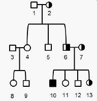 The pedigree below is for a family that has the allele for thalassemia, a recessive-example-1