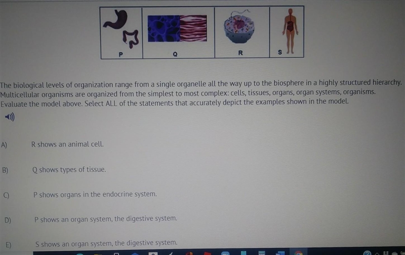 P S Q R The biological levels of organization range from a single organelle all the-example-1