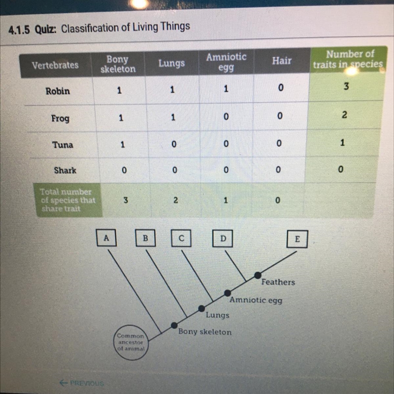 Based on the information in the table, which animal belongs in the spot labeled A-example-1