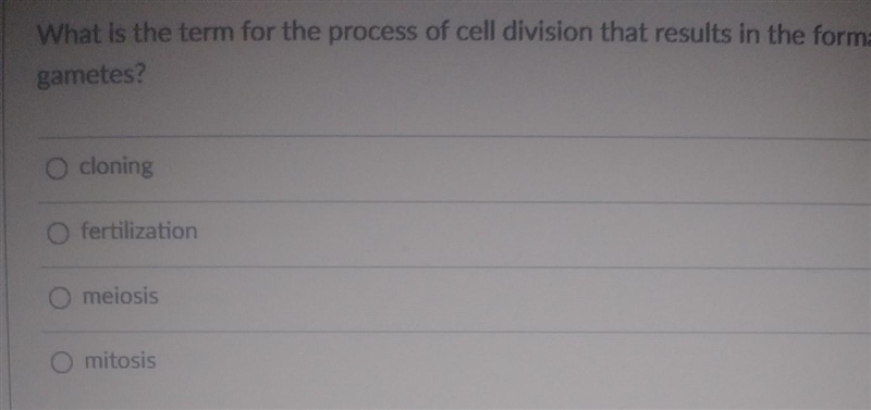 What is the term for the process of cell division that results in the formation of-example-1