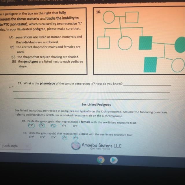 What is the phenotype of the sons in generation lII?-example-1