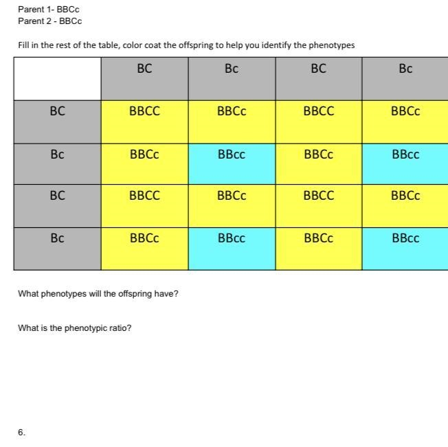 Plz help,, explanation if possible because I don’t understand at all :,/-example-1