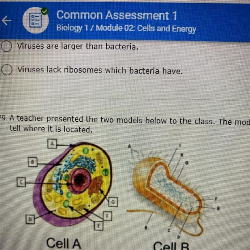 29. A teacher presented the two models below to the dass. The models represent a eukaryote-example-1