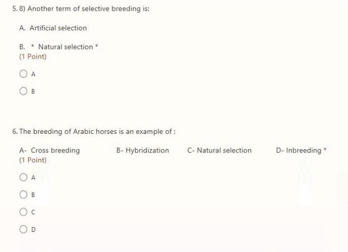 What’s the two answers plsss help asapp —————--example-1