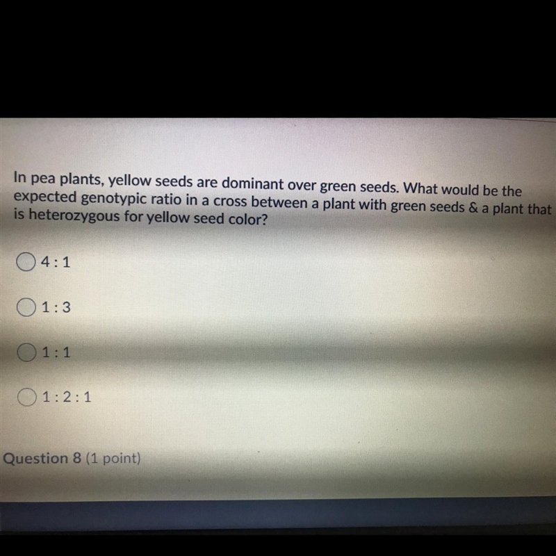 PLEASE HELP In pea plants, yellow seeds are dominant over green seeds. What would-example-1