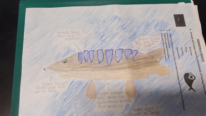 Create a cool name for this fish-example-1