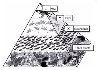 Look at the diagram above. Look at the diagram above. Which number best describes-example-1