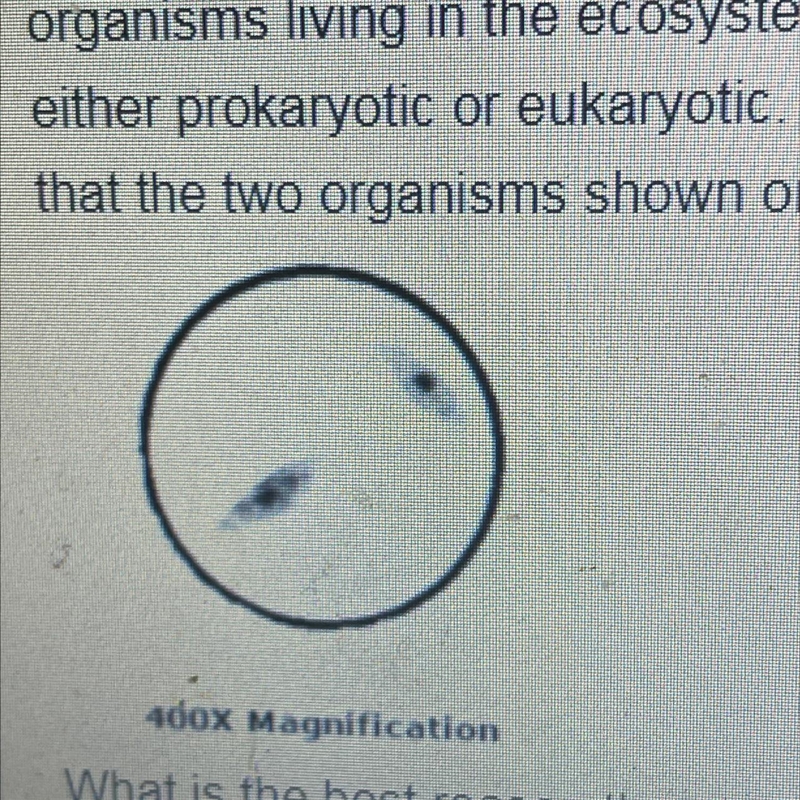 A student taking samples from a local creek uses a microscope to identify different-example-1