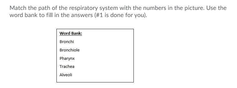 Help me, it's due today-example-1