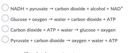 Which of the following correctly identifies the reactants and products of aerobic-example-1