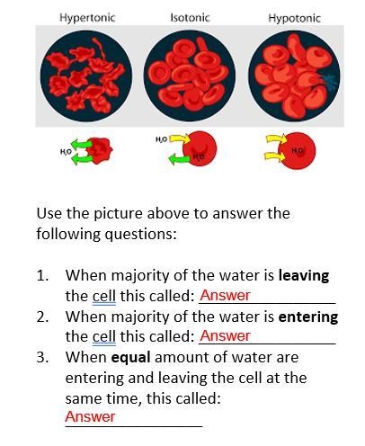 Please help me with this-example-1