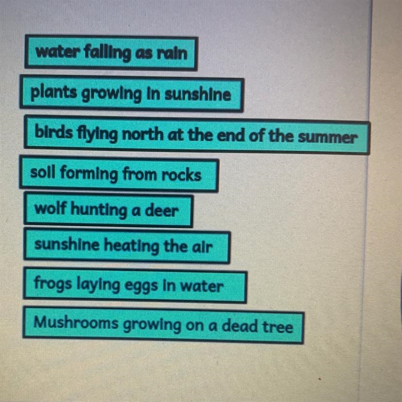 PLEASE HELP ASAP!! Abiotic, Abiotic and Biotic, or Biotic-example-1