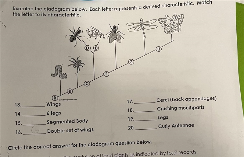 If you know this plzz-example-1