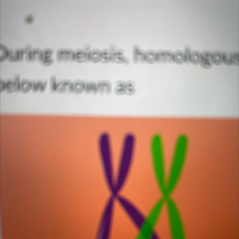 During meiosis, homologous chromosomes can exchange DNA in a process as shown in the-example-1