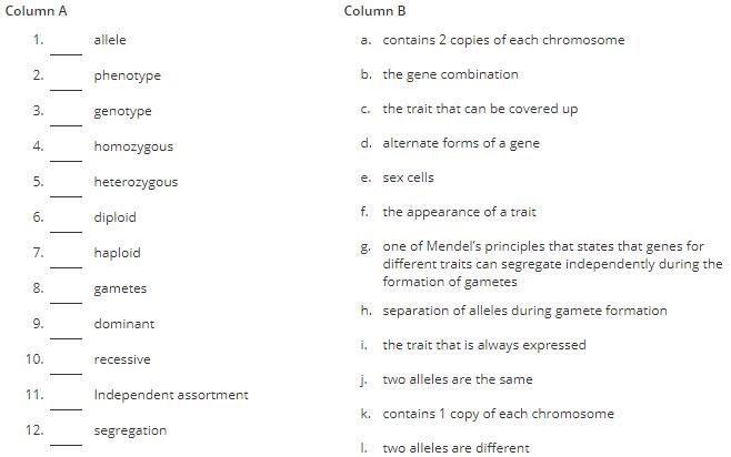 Please help !!!!!!! Match the following terms-example-1