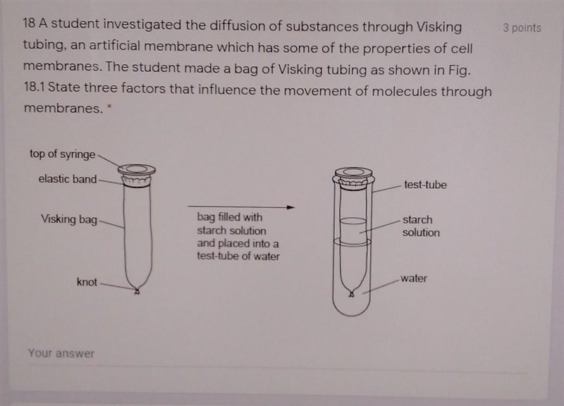 P,ease help meeeee due in 5​-example-1