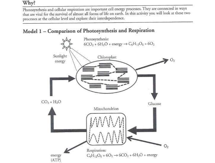 Hey guys i need help plz plz help i am giving all my points-example-2