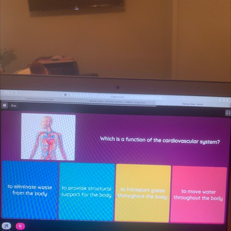 Which is a function of the cardiovascular system? to move water to eliminate waste-example-1