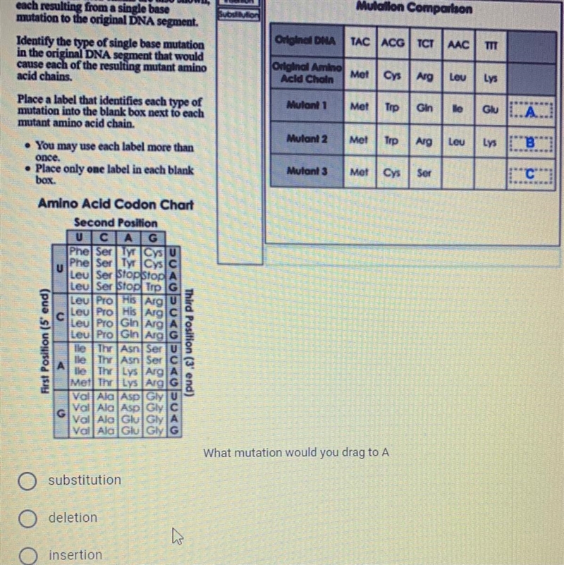 HELP. Asap! Answer question in photo-example-1