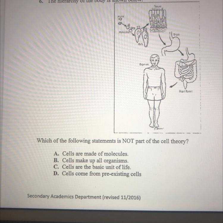 Which of the following statements is NOT part of the cell theory? A. Cells are made-example-1