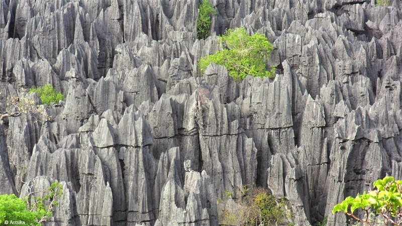 Describe the causes of Weathering and Erosion here: (image 1 with grass) Hawaii Coastal-example-3