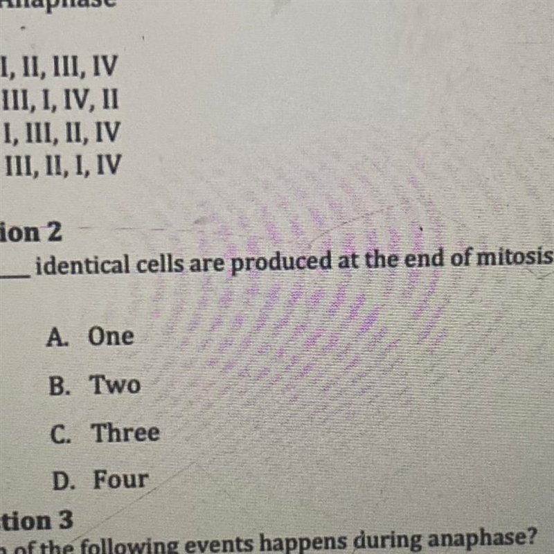 Identical cells are produced at the end of mitosis-example-1