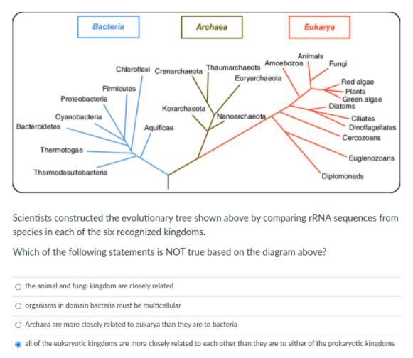 Which of the following statement is not true based on the diagram above?-example-1