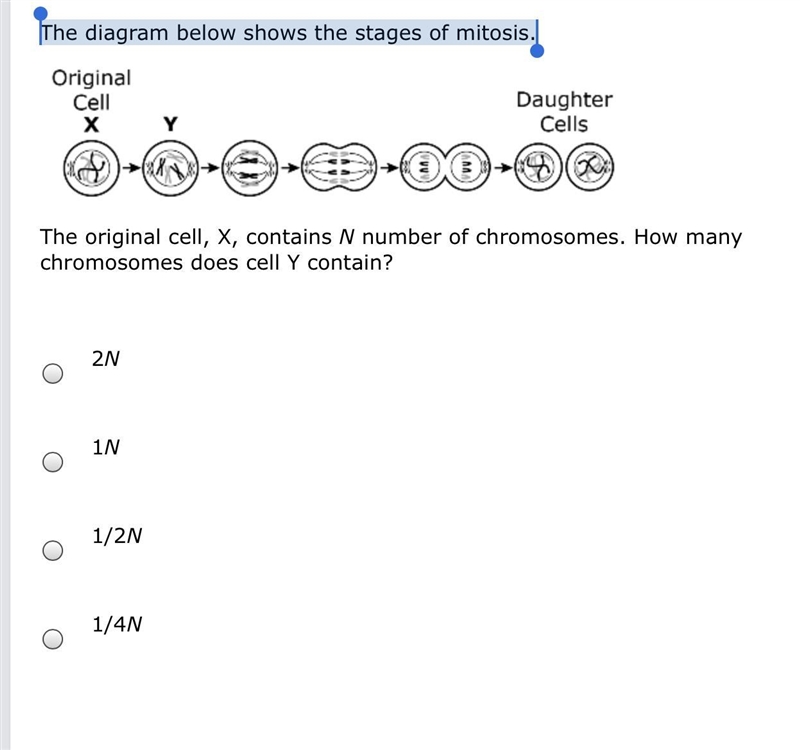 The diagram below shows the stages of mitosis. The original cell, X, contains N number-example-1