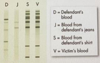 A- Briefly describe the biotechnology methods that would have been used to produce-example-1