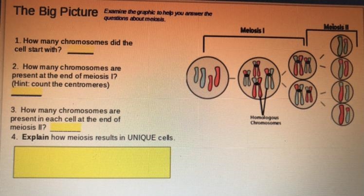 Help with question!!!!!!!!!!!!!-example-1