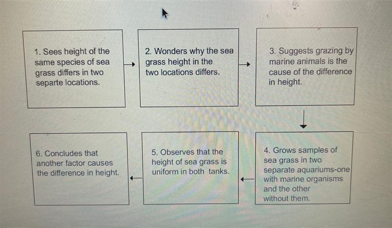 Select the correct location on the image. Karla list the steps of her scientific analysis-example-1