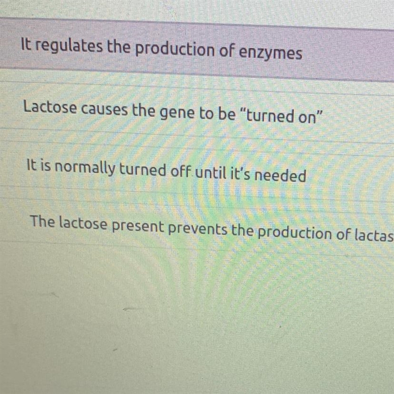 The Lac Operon is a set of genes that controls the production of lactase the enzyme-example-1