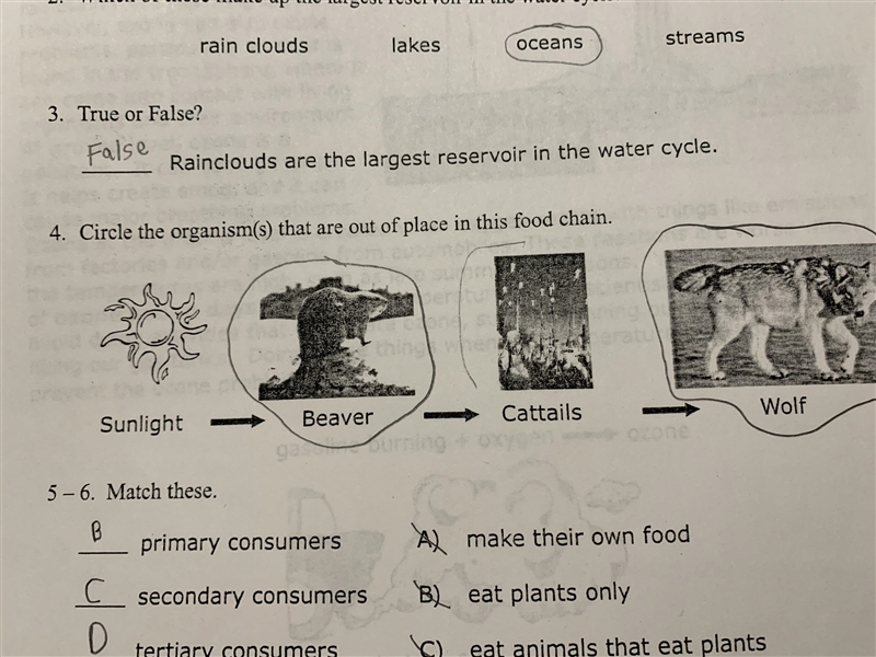 Me and my brother are confused on an question “ Circle the organism(s) that are out-example-1