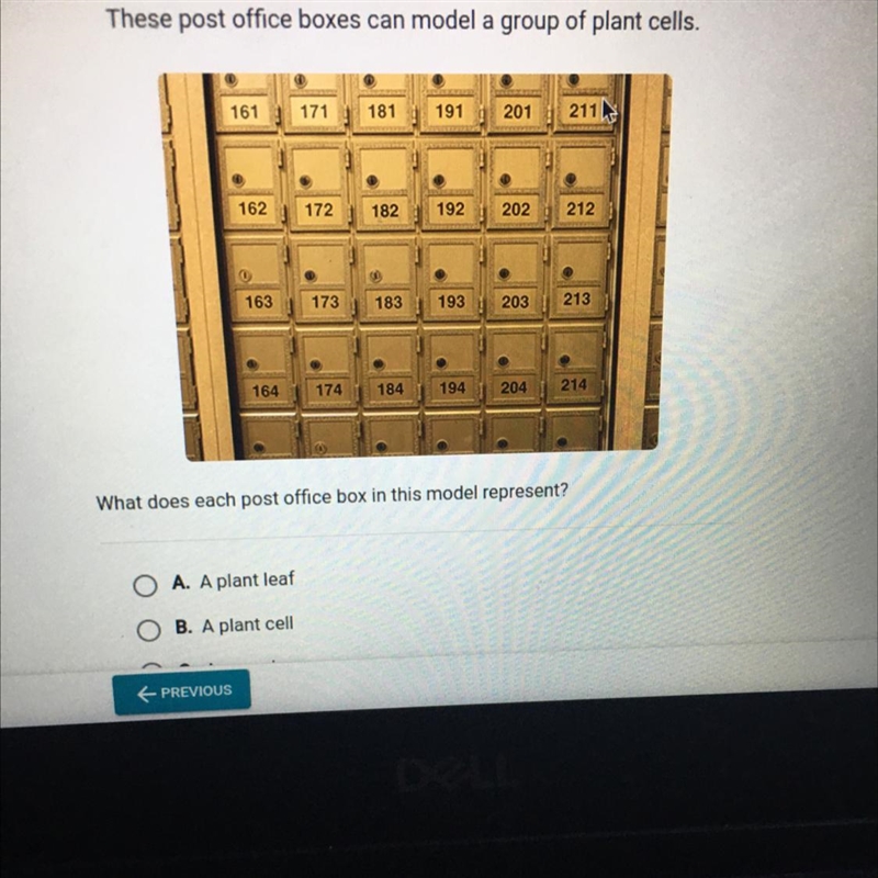 Can someone plz help me? :( A. A plant leaf B. A plant cell C. A vacuole D. A chloroplast-example-1