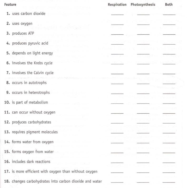 If you know abt respiration and photosynthesis pls HELP!-example-1