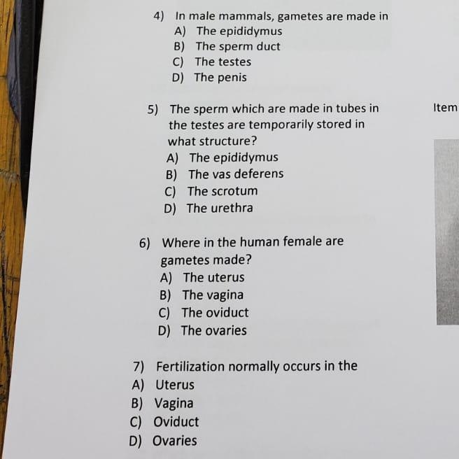 Help …. I’m new and looking for help with these questions-example-1