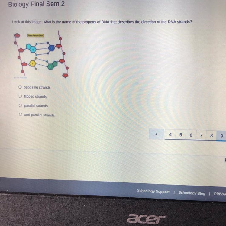 Help! What is the name of the property of the DNA that describes the direction of-example-1