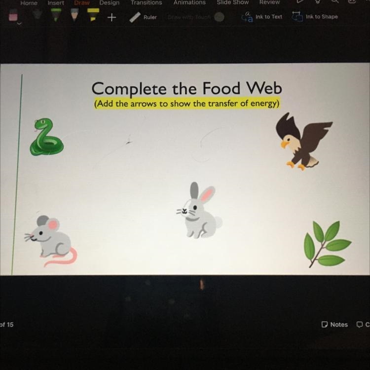 HELP ME!!! Complete the Food Web (Add the arrows to show the transfer of energy)-example-1