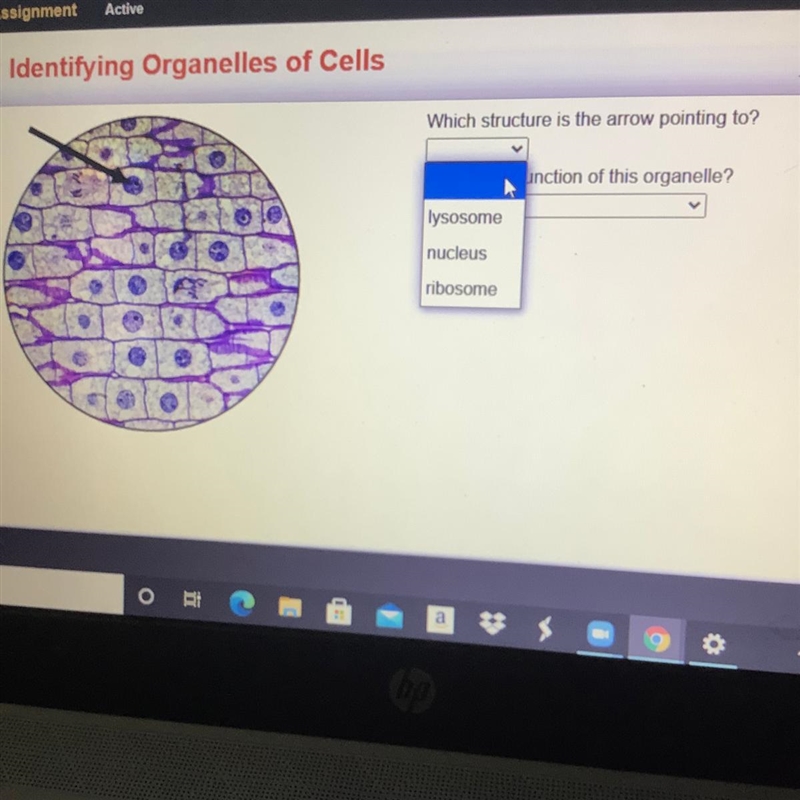 First part science pls help-example-1