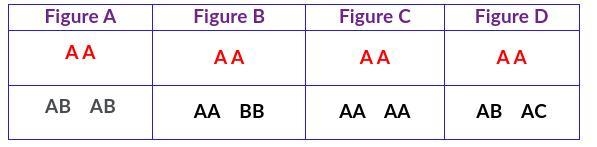 Which of the following identifies an incorrect model of DNA’s semiconservative nature-example-1