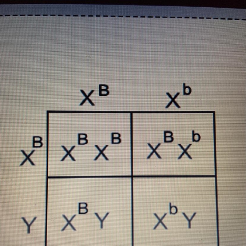 Please help Colorblindness is a sex-linked trait that is caused by a common X-linked-example-1