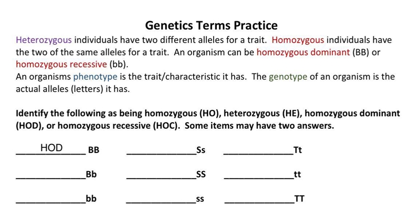 I would really appreciate it if someone help me with this!!!-example-1