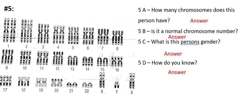 Need help with this for biology-example-1