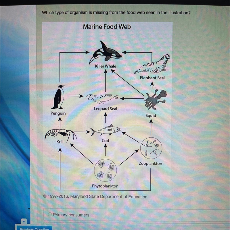 Which type of organism is missing from the food web seen in the illustration? A. Primary-example-1