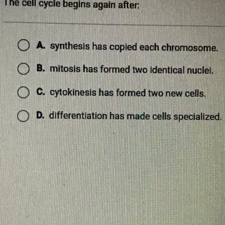 The cell cycle begins again after A. synthesis has copied each chromosome. B. mitosis-example-1