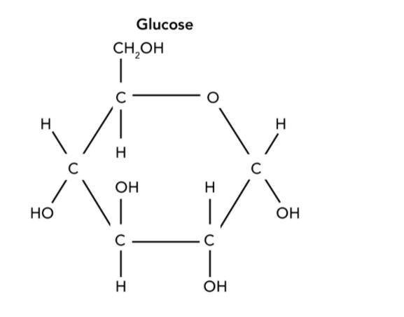 FAST 40 POINTS The diagram shows the structure of glucose, a molecule that organisms-example-1